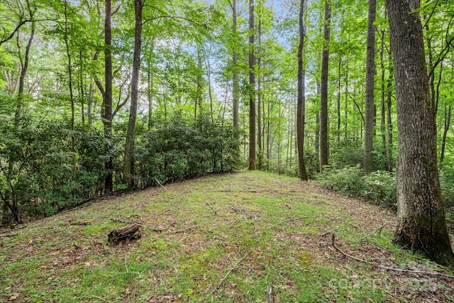 79 Creekside Ln, Spruce Pine, NC 28777 - view of yard with a wooded view