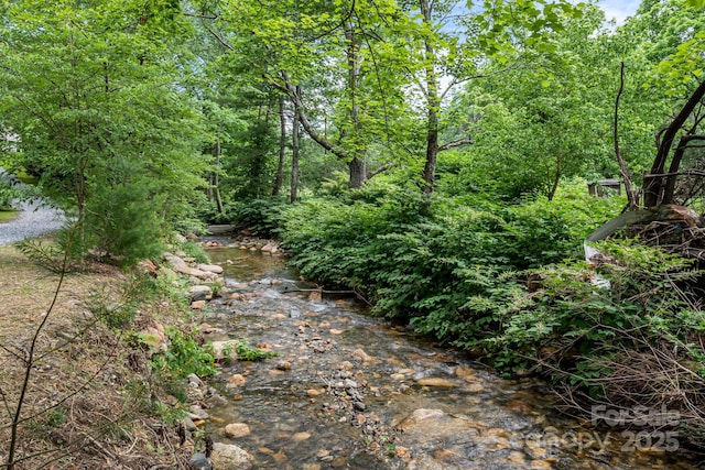 79 Creekside Ln, Spruce Pine, NC 28777 - view of undeveloped land