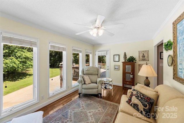 600 Queens Rd, Cherryville, NC 28021 - living room with plenty of natural light, wood finished floors, ornamental molding, ceiling fan, and a textured ceiling