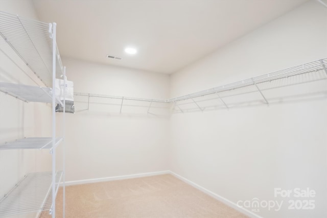 15119 Oleander Dr, Charlotte, NC 28278 - photo 19