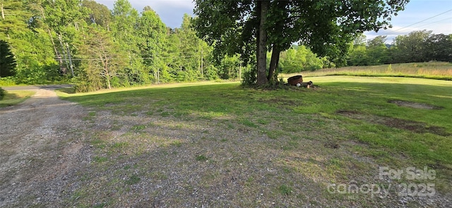3682 Old Petra Mill Rd, Granite Falls, NC 28630 - view of grassy yard with a view of trees