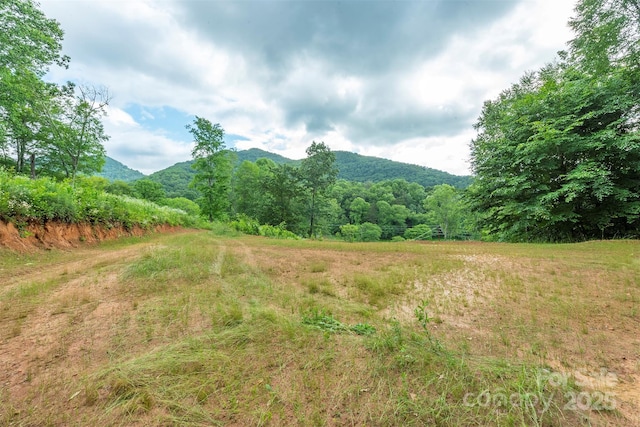 1433 Crabtree Mountain Rd, Clyde, NC 28721