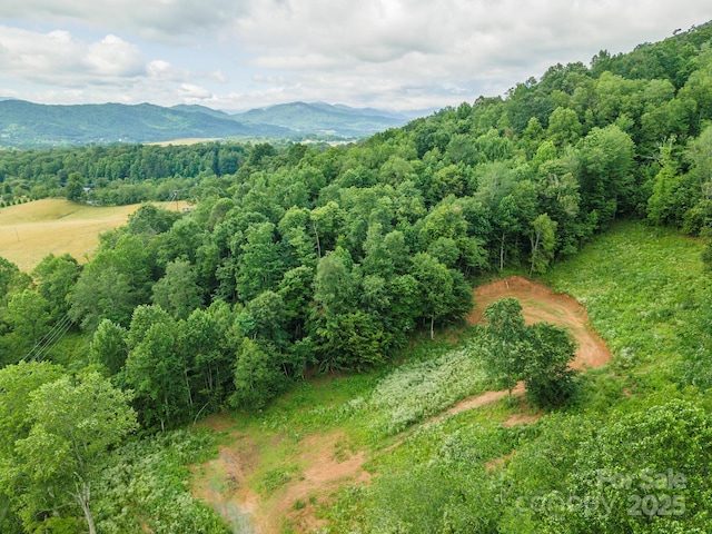1433 Crabtree Mountain Rd, Clyde, NC 28721