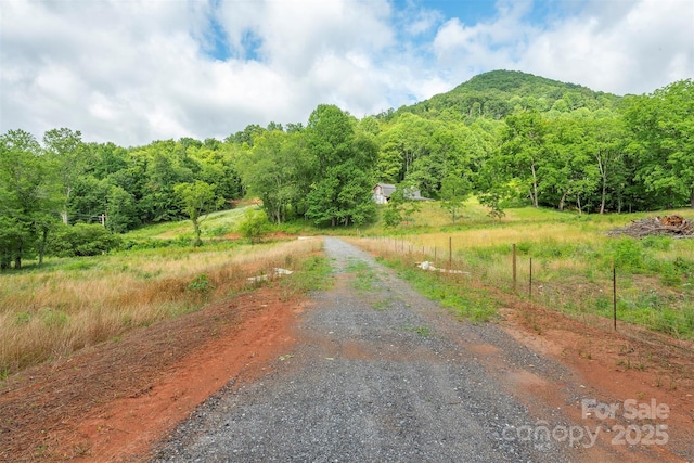 1433 Crabtree Mountain Rd, Clyde, NC 28721