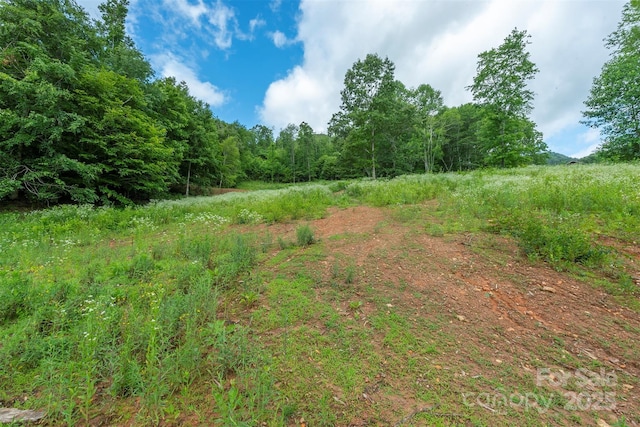 1433 Crabtree Mountain Rd, Clyde, NC 28721