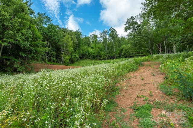 1433 Crabtree Mountain Rd, Clyde, NC 28721