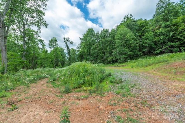 1433 Crabtree Mountain Rd, Clyde, NC 28721