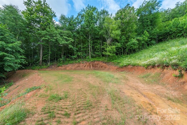 1433 Crabtree Mountain Rd, Clyde, NC 28721