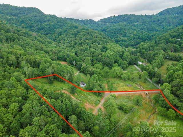 1433 Crabtree Mountain Rd, Clyde, NC 28721