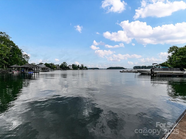19205 Hidden Cove Ln, Cornelius, NC 28031 - water view featuring a boat dock