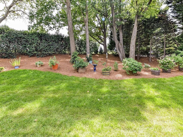 19205 Hidden Cove Ln, Cornelius, NC 28031 - view of grassy yard