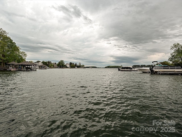 19205 Hidden Cove Ln, Cornelius, NC 28031 - water view