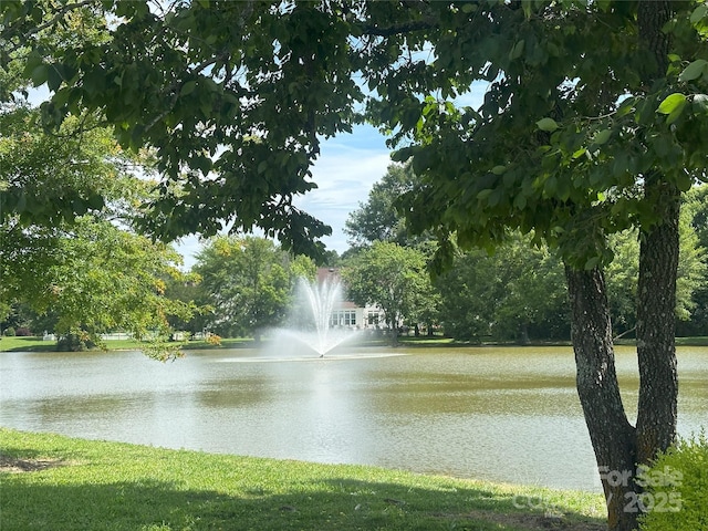 3009 Canopy Dr, Indian Trail, NC 28079 - water view