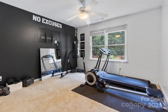 1507 Breckenwood Dr, Rock Hill, SC 29732 - workout area featuring a ceiling fan, a textured ceiling, and carpet flooring