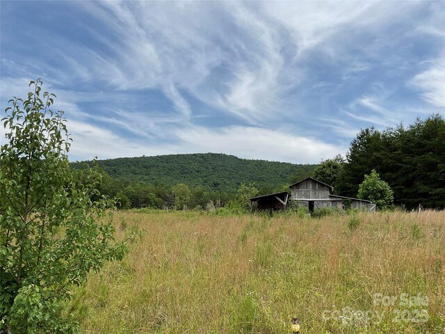 4282 Mount Gilead Church Rd, Connelly Springs, NC 28612 - photo 3