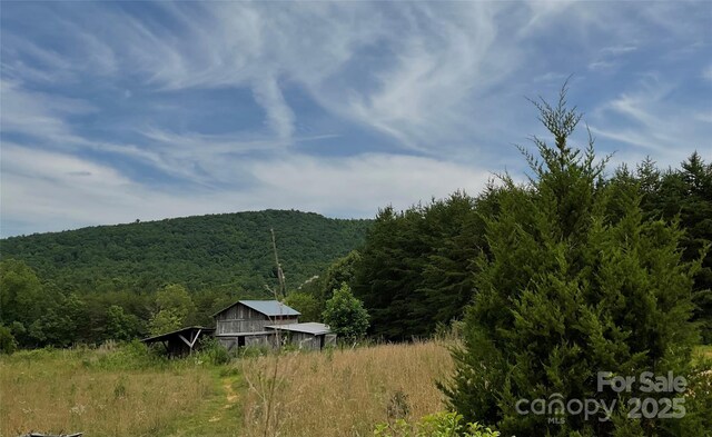 4282 Mount Gilead Church Rd, Connelly Springs, NC 28612 - photo 4