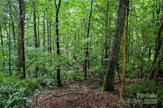 10717 Wildlife Rd, Charlotte, NC 28278 - photo 9