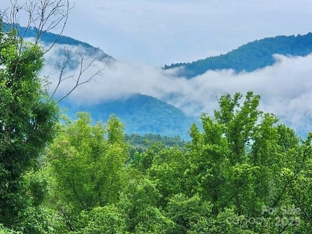 2369 Saratoga Run, Morganton, NC 28655 - view of mountain backdrop with a forest