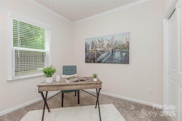 1514 Starmount Cove Ln, Charlotte, NC 28210 - office area featuring carpet and ornamental molding