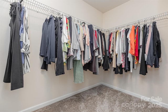 1514 Starmount Cove Ln, Charlotte, NC 28210 - spacious closet with carpet floors