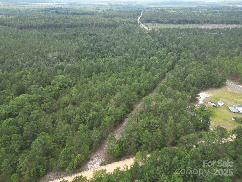2018 Little Lynches Rd, Bethune, SC 29009 - photo 1