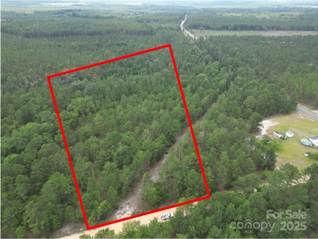 2018 Little Lynches Rd, Bethune, SC 29009 - photo 3