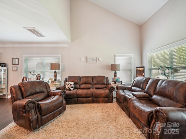 9428 Carneros Creek Rd, Charlotte, NC 28214 - living area featuring high vaulted ceiling
