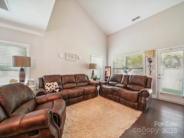 9428 Carneros Creek Rd, Charlotte, NC 28214 - living area with high vaulted ceiling, dark wood-style floors, and crown molding