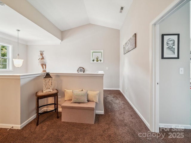 9428 Carneros Creek Rd, Charlotte, NC 28214 - living area featuring dark carpet and lofted ceiling