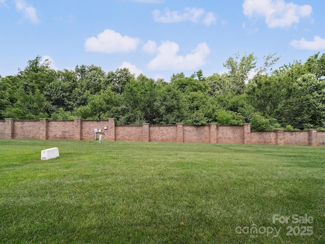 9428 Carneros Creek Rd, Charlotte, NC 28214 - view of yard