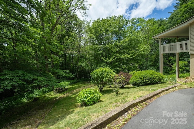 665 Will Robbins Ln, Newland, NC 28657 - view of yard