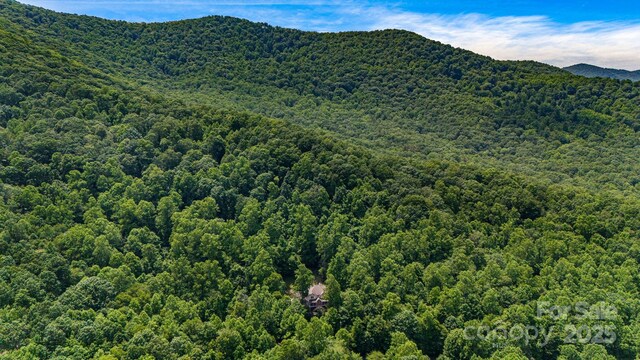 81 Smokemont Dr, Arden, NC 28704 - photo 45