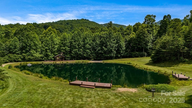 81 Smokemont Dr, Arden, NC 28704 - photo 47