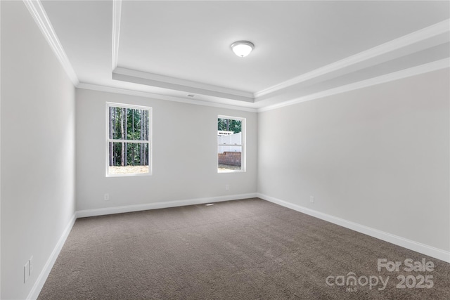 5244 Admirals Lndg, Lancaster, SC 29720 - unfurnished room with a tray ceiling, dark colored carpet, and ornamental molding