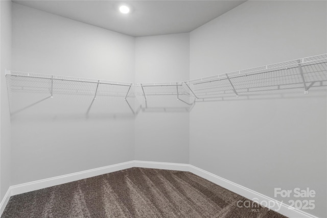 5244 Admirals Lndg, Lancaster, SC 29720 - walk in closet with dark carpet