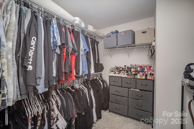 1010 Harry Ct, Albemarle, NC 28001 - view of walk in closet