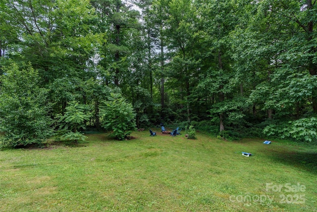204 Terrys Gap Loop Rd, Fletcher, NC 28732 - view of green lawn