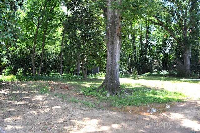 2501 Handley Pl, Charlotte, NC 28226 - photo 6