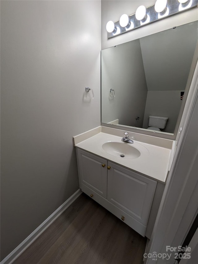 1009 22nd St NE Unit A-E, Hickory, NC 28601 - bathroom with wood finished floors and vanity