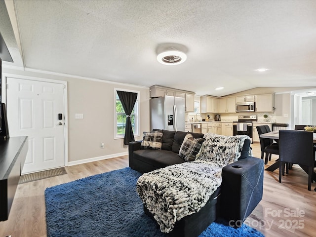 1140 Randall Ct, Concord, NC 28025 - living room featuring vaulted ceiling, light wood finished floors, and a textured ceiling