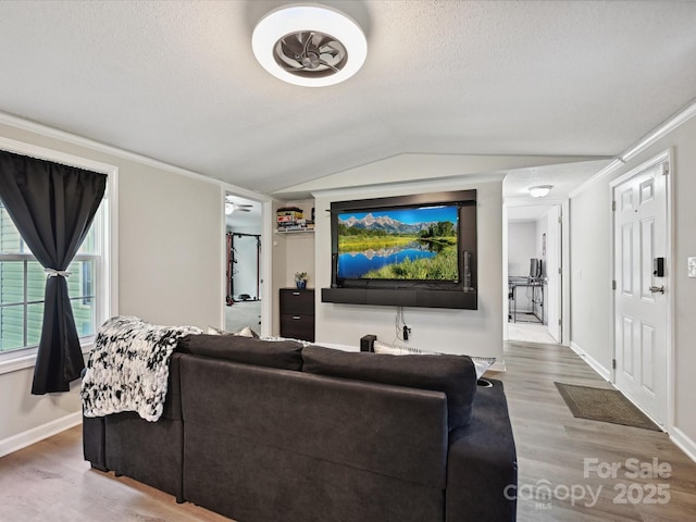 1140 Randall Ct, Concord, NC 28025 - living room featuring lofted ceiling, wood finished floors, a textured ceiling, and crown molding