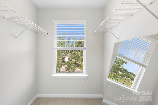 921 Summerlake Dr, Fort Mill, SC 29715 - walk in closet featuring carpet floors