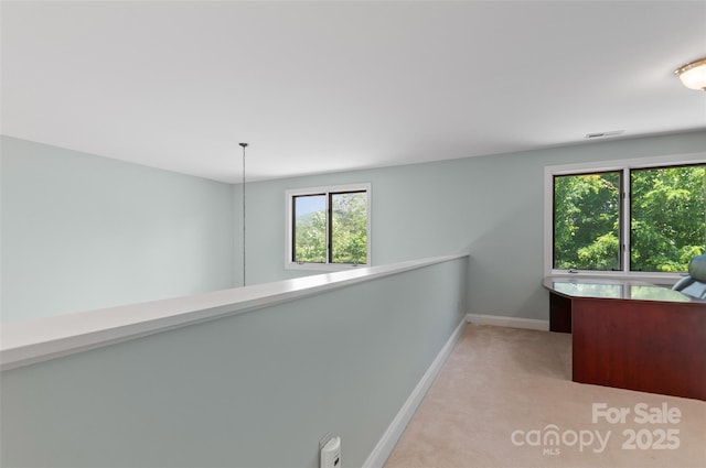38 Live View Ln, Clyde, NC 28721 - corridor featuring light colored carpet and baseboards