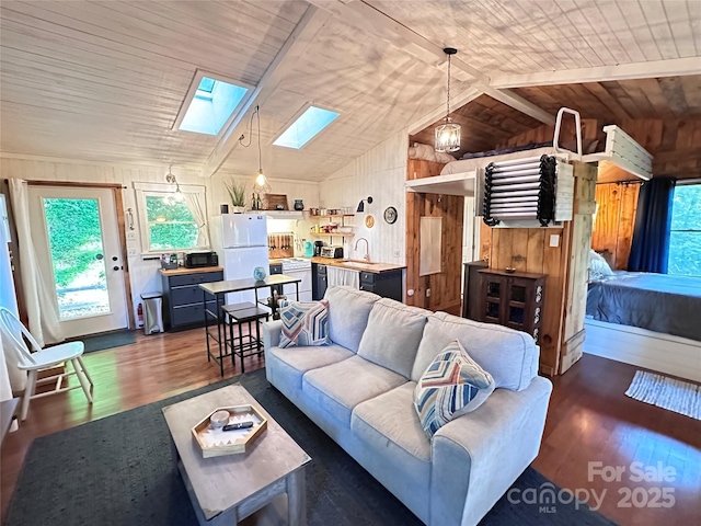 849 Camp Hill Rd, Mill Spring, NC 28756 - living area with a skylight, wood walls, plenty of natural light, lofted ceiling, and dark wood-type flooring
