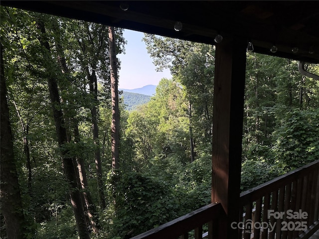 849 Camp Hill Rd, Mill Spring, NC 28756 - view of mountain background