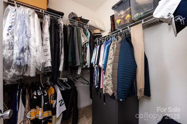 432 W Worthington Ave, Charlotte, NC 28203 - walk in closet with carpet floors