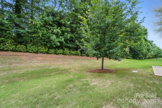 3029 Marchers Trace Dr, Mint Hill, NC 28227 - photo 36