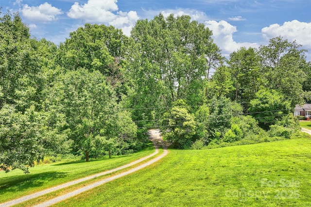 6411 Glenn Teague Rd, Charlotte, NC 28216 - view of grassy yard with driveway
