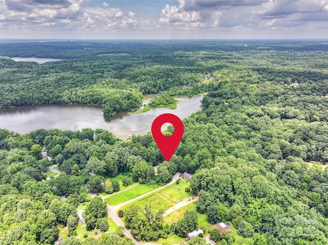 6411 Glenn Teague Rd, Charlotte, NC 28216 - aerial view of a forest and a large body of water