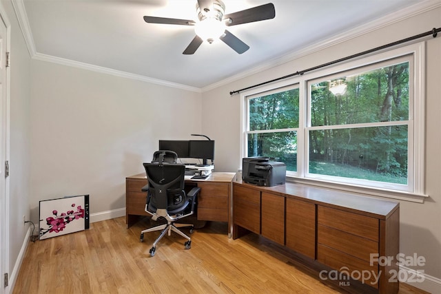 6411 Glenn Teague Rd, Charlotte, NC 28216 - office space with light wood-style floors, ornamental molding, and ceiling fan
